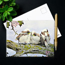 Search for tit postcards Cute