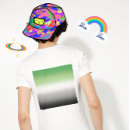Search for aromantic tshirts Aromantic pride flag