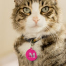 Search for pink pet tags Black