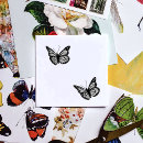 Search for butterfly rubber stamps Insect