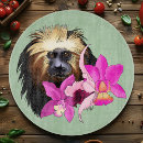 Recherche de singe planches à découper Pour tous