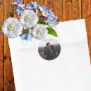 Recherche de photographe de mariage autocollants Nature