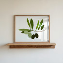 Recherche de oliviers posters Olive
