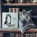 Recherche de humour de chat carreaux Chaton