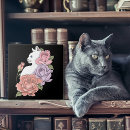 Search for peach and white tiles Pink