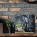 Recherche de éléphant gris carreaux Afrique