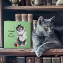 Recherche de humour carreaux Humour de chat