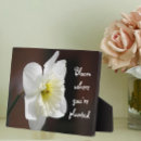Search for daffodil quote Inspiring