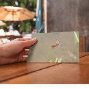 Search for red dragonfly postcards Wings