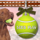 Search for playing pet supplies Player