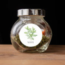Search for basil Botanical