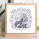 Search for grey wolves posters Nature
