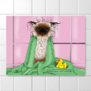 Search for bath time posters Cat