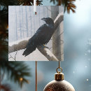 Search for black crows ornaments Nature
