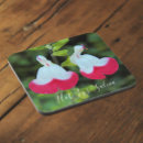 Search for perennials coasters Floral