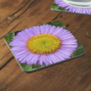 Search for aster coasters Botanical