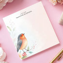 Recherche de rouge gorge Mignon