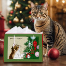 Search for christmas cat gift bags Cute