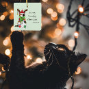 Search for calico cat ornaments Green
