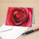 Search for rose macro cards Closeup