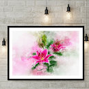 Search for stargazer lily posters Pink