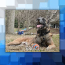 Search for family name puzzles Photography