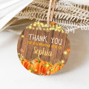 Search for the pumpkin patch Autumn