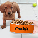 Recherche de chien articles Dogs