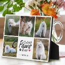 Recherche de amoureux plaques De maman chien
