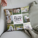 Recherche de pâtes coussins Amoureux des chiens
