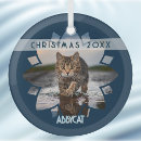 Search for cat in frame ornaments For pets