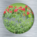Recherche de à créer magnets Photographie