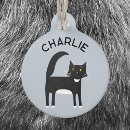 Search for blue collar Cats