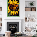 Search for monarch posters Butterflies