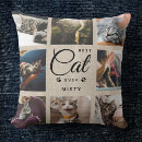 Recherche de oreilles de chat coussins Cats