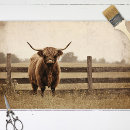 Search for highland cow crafts party Decoupage