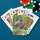 Search for funny squirrel playing cards Squirrels