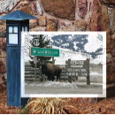 Search for yellowstone bison postcards Souvenir