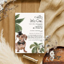 Recherche de chien teckel invitations Animal de compagnie