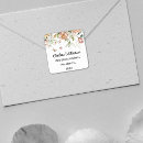 Search for still life stickers Watercolor