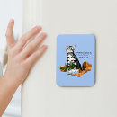 Search for silver rectangular magnets Funny