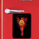 Search for flames rectangular magnets Black