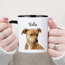 Recherche de image de chien Typographie