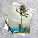 Recherche de palmiers cartes postales Bahamas