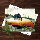 Search for bear postcards Canoe