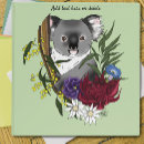 Search for koala binders Cute