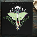 Search for moths binders Luna moth