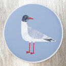 Search for beach knobs and pulls Ocean