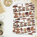 Search for vintage mushroom Vegan