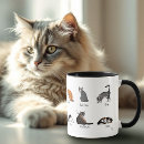 Search for fetch mugs Funny